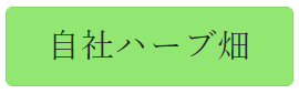 自社ハーブ畑　リンク