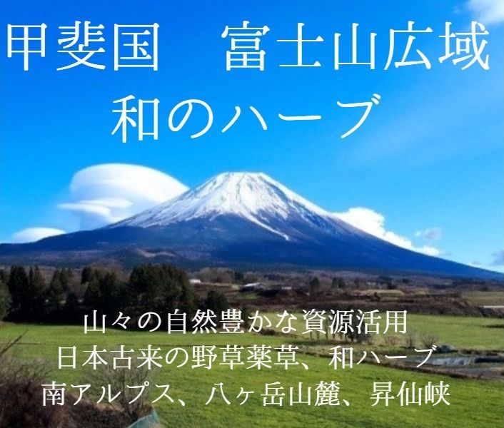 富士山広域の資源活用